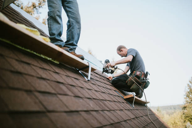 Quick and Trustworthy Emergency Roof Repair Services in Port Charlotte, FL
